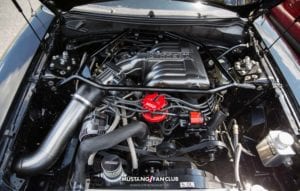 mustang week 2016 mw16 mustangfanclub mustang fan club meet and greet
