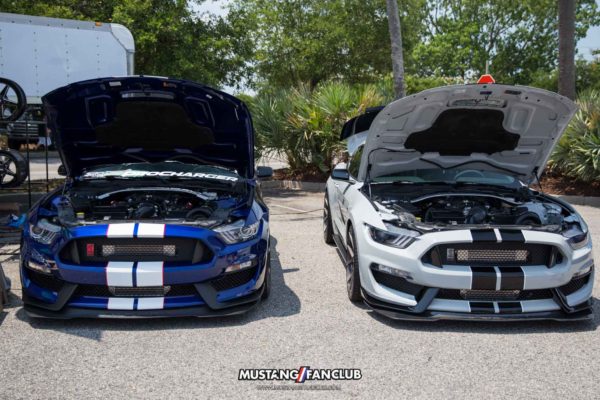 Mustang Week 2016 MW16 Mustangfanclub Fan Club photography mustangs car show shelby gt350