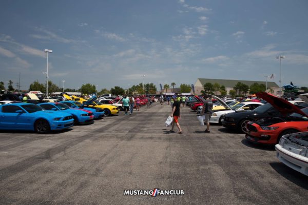 Mustang Week 2016 MW16 Mustangfanclub Fan Club photography mustangs car show