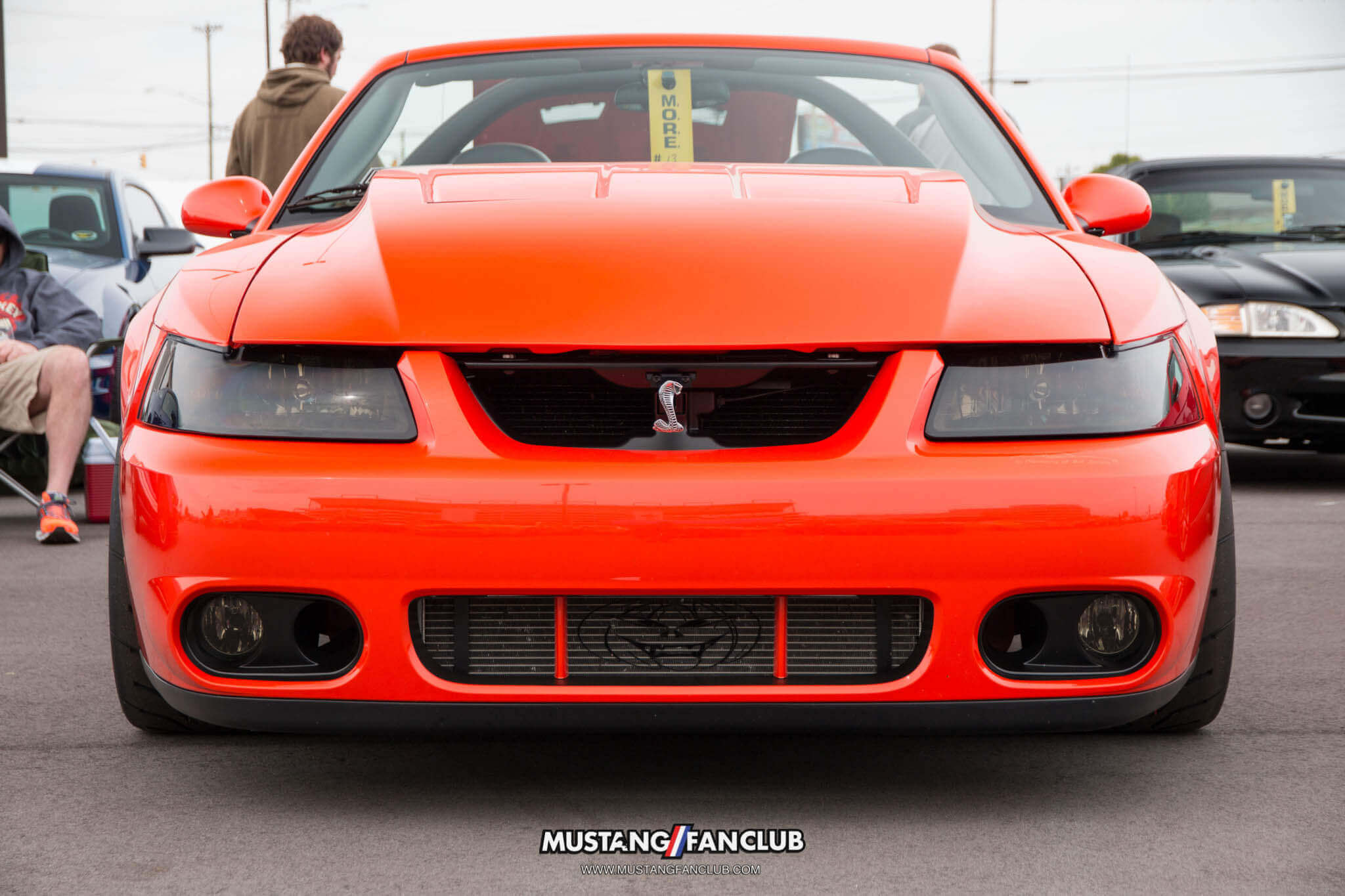 mustang 50th anniversary birthday celebration mustangfanclub mustang fan club april 2014 2015 15 event coverage images car show charlotte north carolina nc svt cobra terminator
