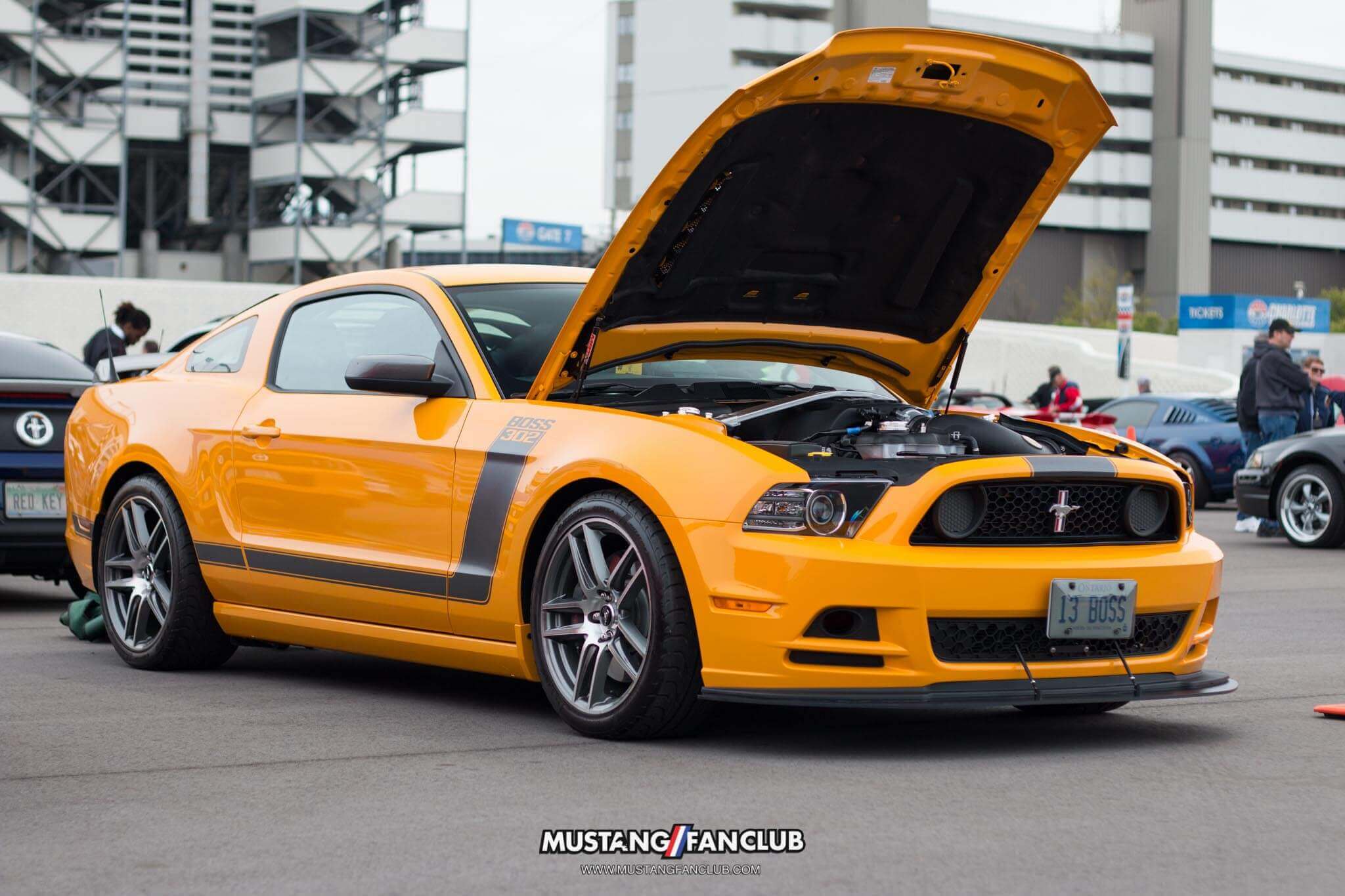 mustang 50th anniversary birthday celebration mustangfanclub mustang fan club april 2014 2015 15 event coverage images car show charlotte north carolina nc school bus yellow boss 302 boss302