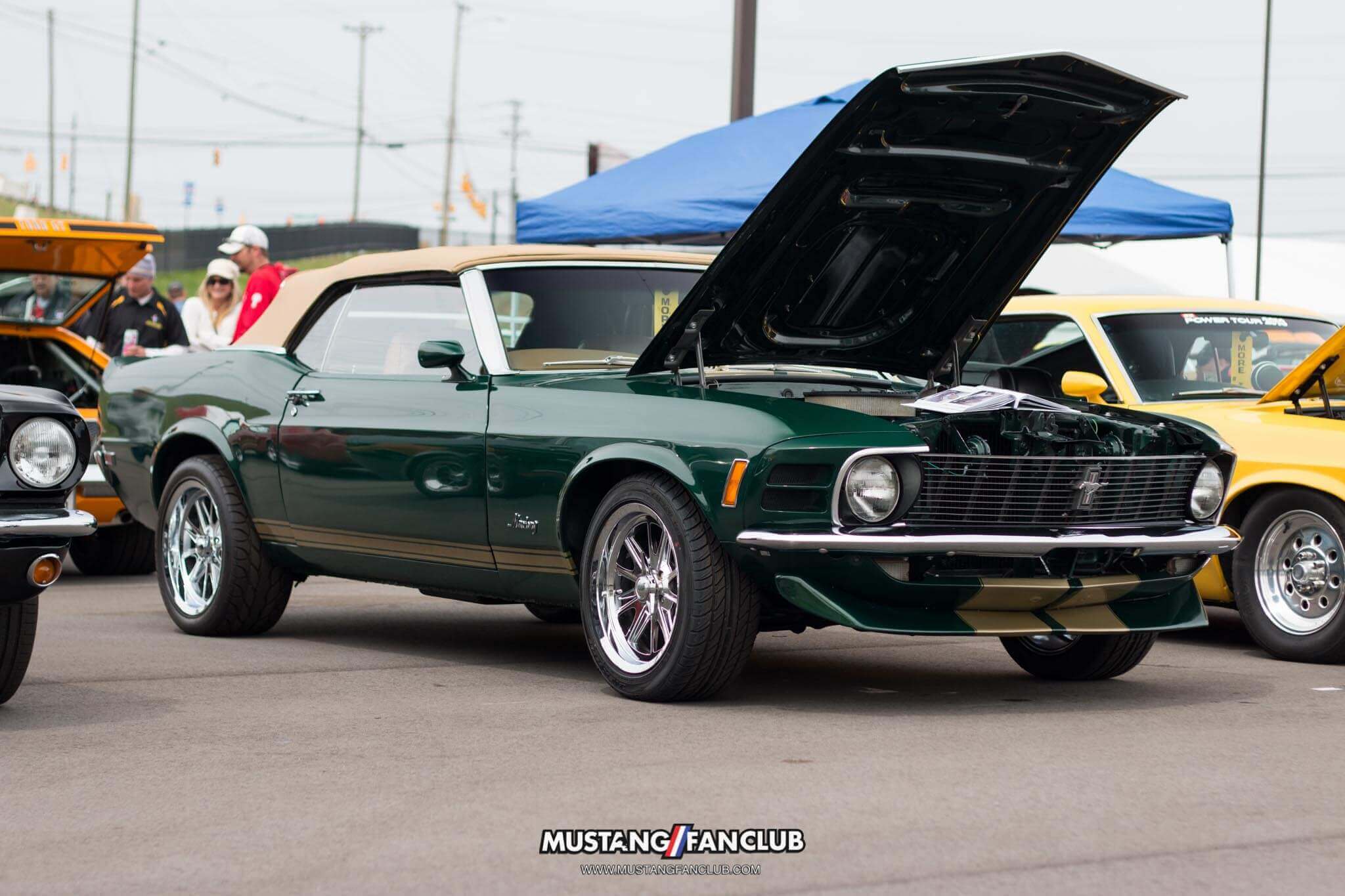 mustang 50th anniversary birthday celebration mustangfanclub mustang fan club april 2014 2015 15 event coverage images car show charlotte north carolina nc