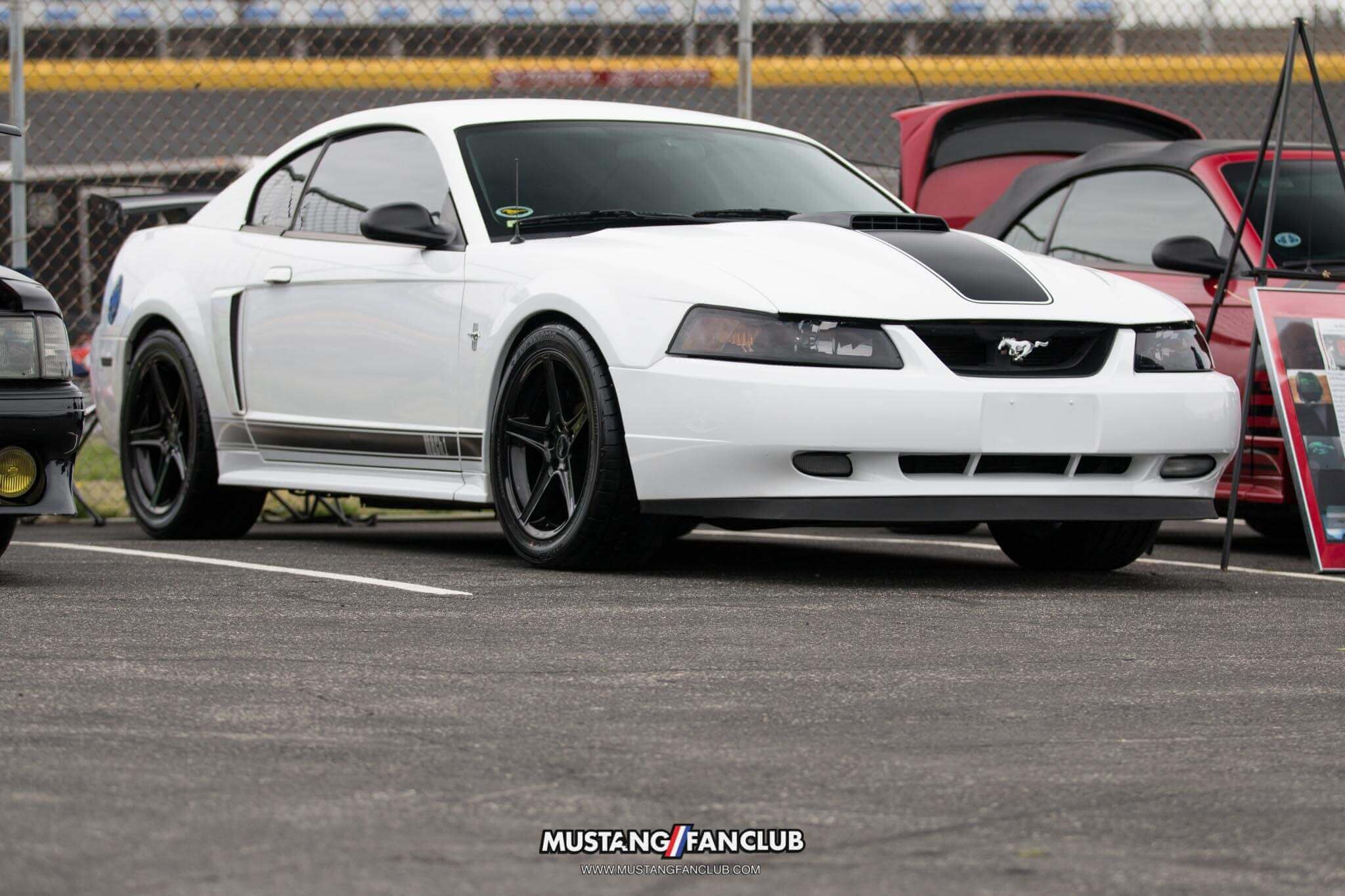 mustang 50th anniversary birthday celebration mustangfanclub mustang fan club april 2014 2015 15 event coverage images car show charlotte north carolina nc mach1 mach 1