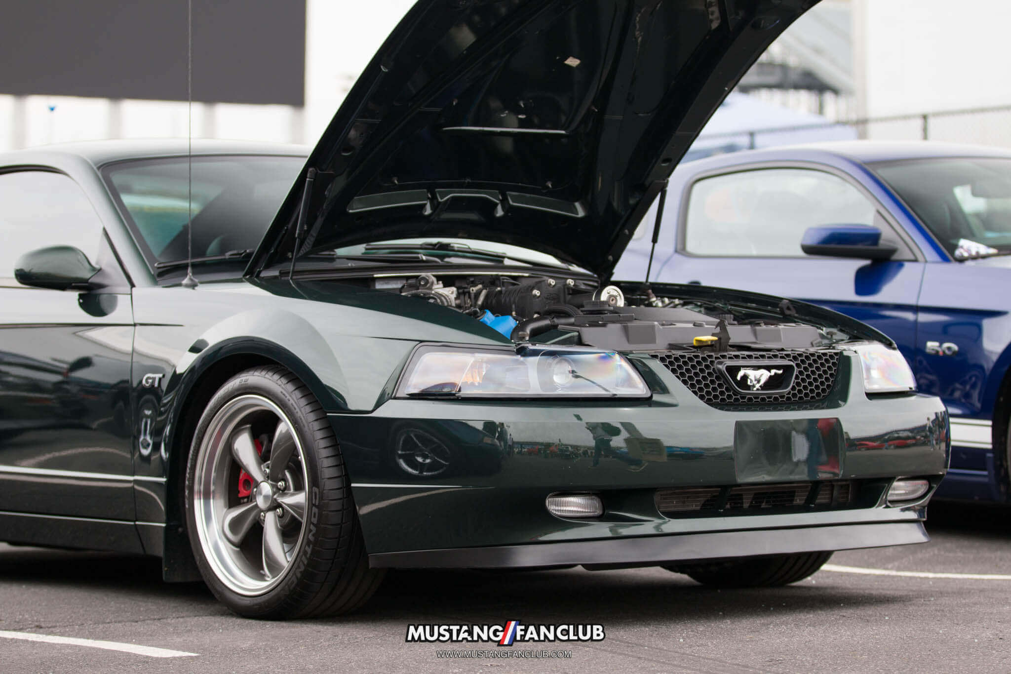 mustang 50th anniversary birthday celebration mustangfanclub mustang fan club april 2014 2015 15 event coverage images car show charlotte north carolina nc