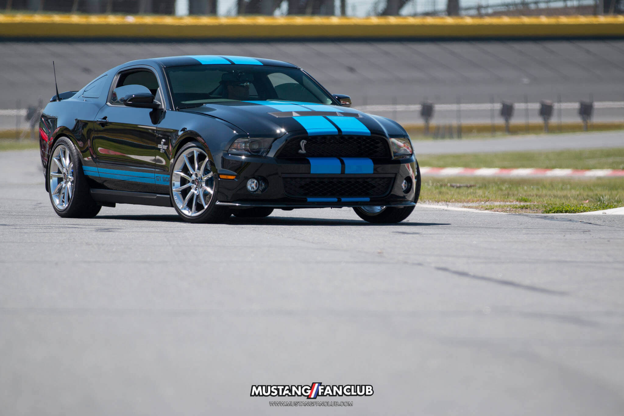 mustang 50th anniversary birthday celebration mustangfanclub mustang fan club april 2014 2015 15 event coverage images car show charlotte north carolina nc shelby gt500