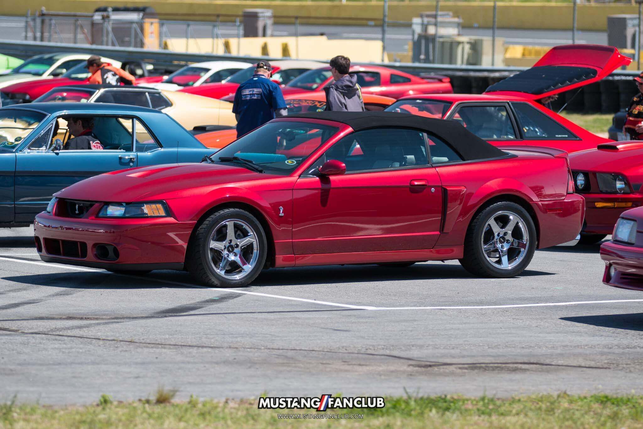 mustang 50th anniversary birthday celebration mustangfanclub mustang fan club april 2014 2015 15 event coverage images car show charlotte north carolina nc