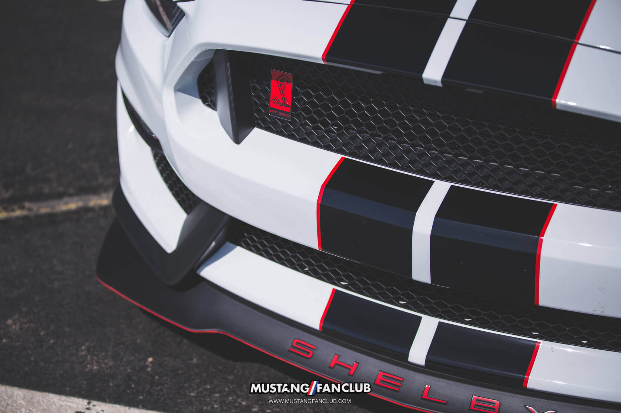 IMG_3436 shelby gt350r