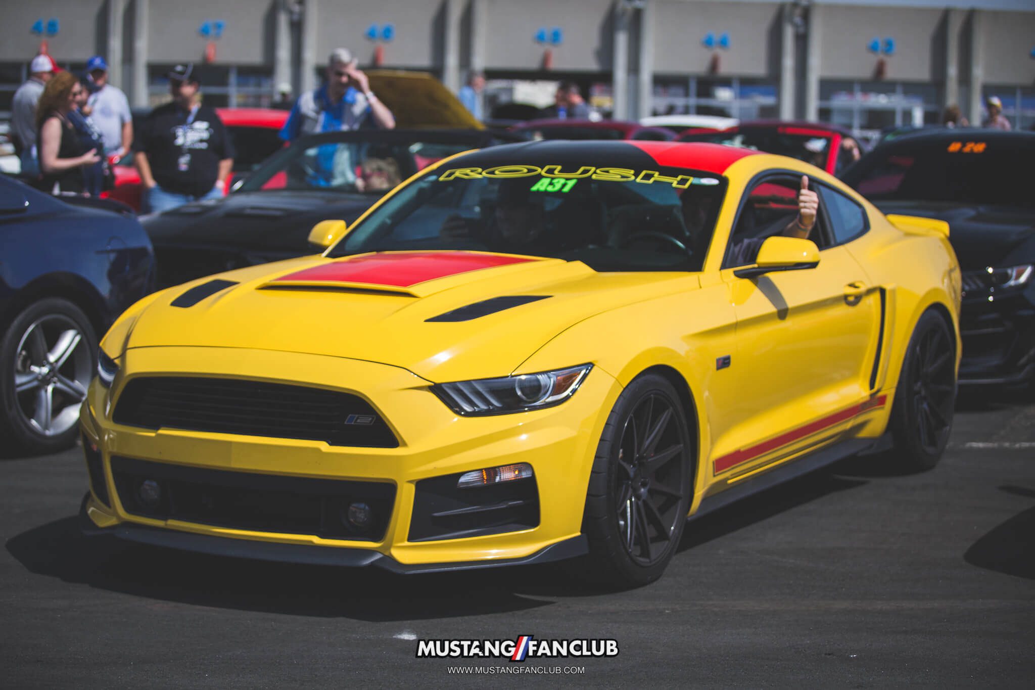IMG_3670 tindol ROUSH Performance triple yellow mustang