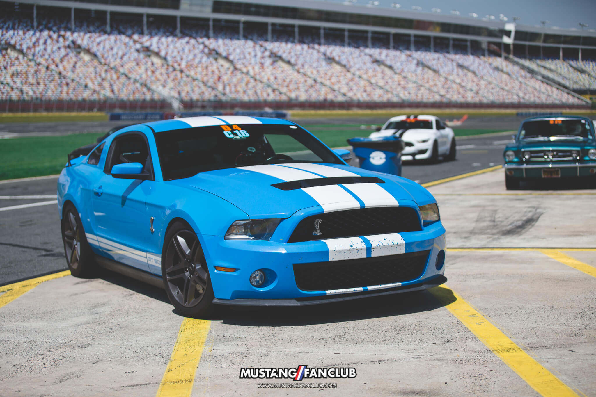 IMG_4001 grabber blue shelby gt500