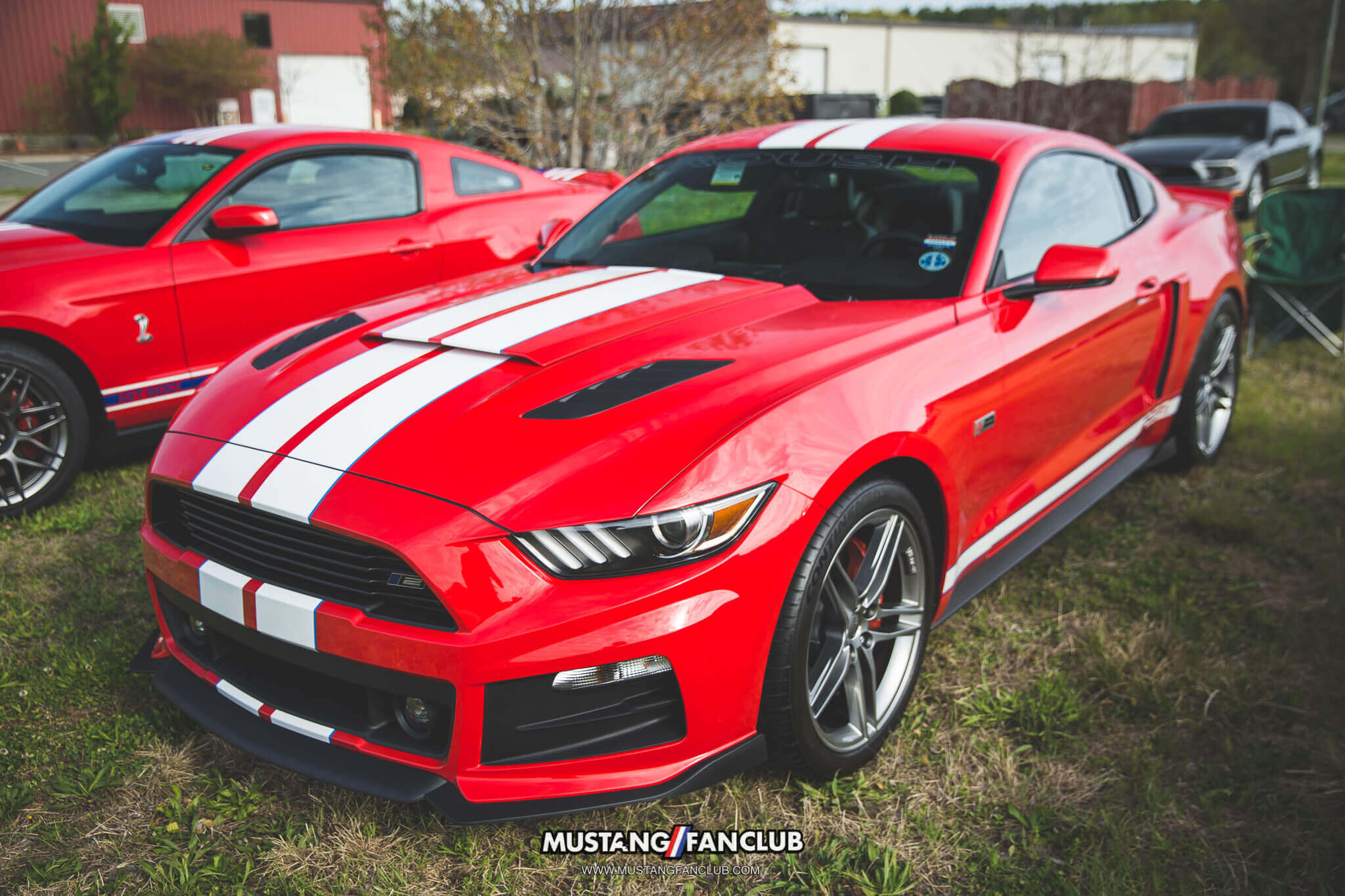 IMG_4423 ROUSH Mustang national mustang day
