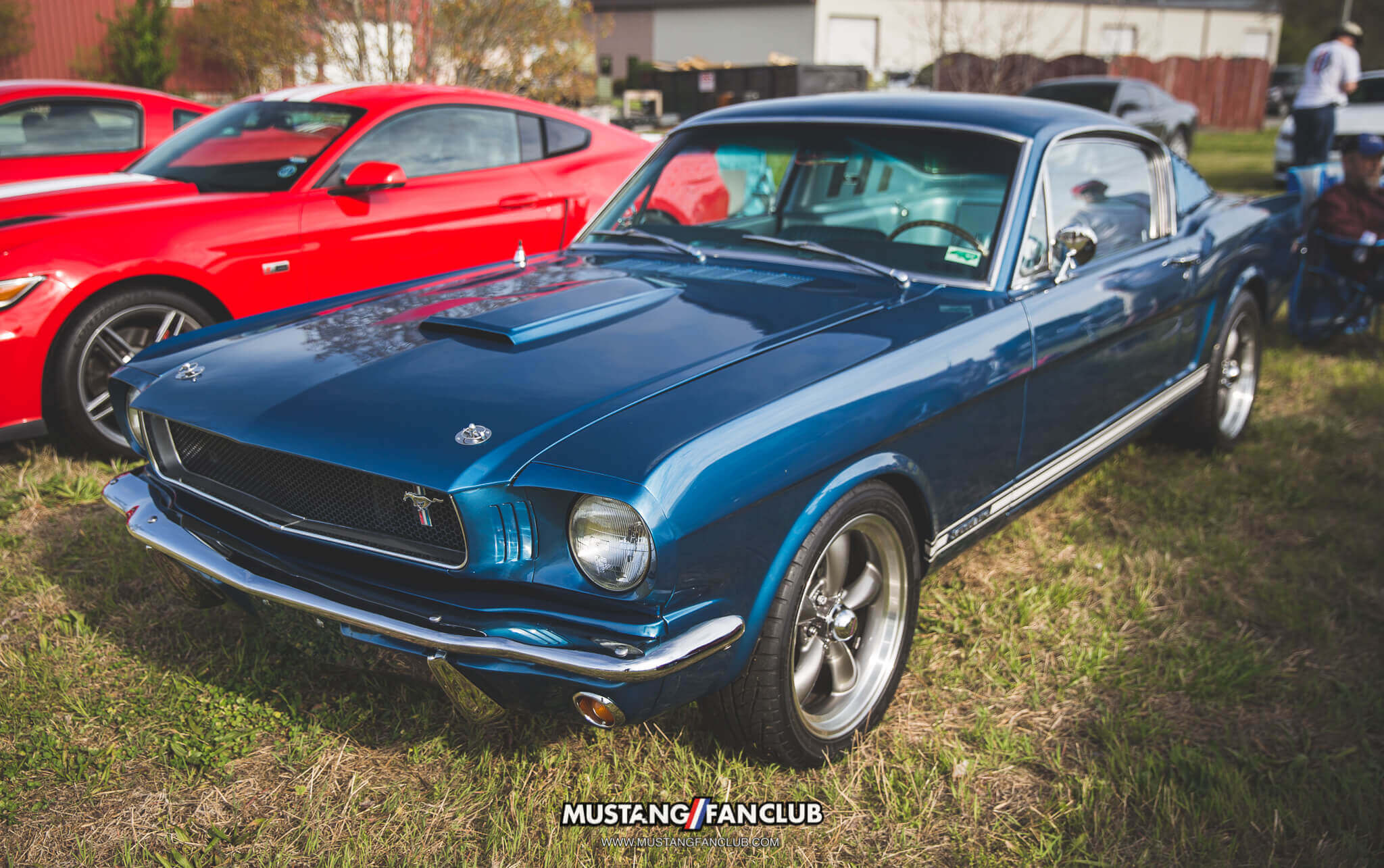 IMG_4424 national mustang day