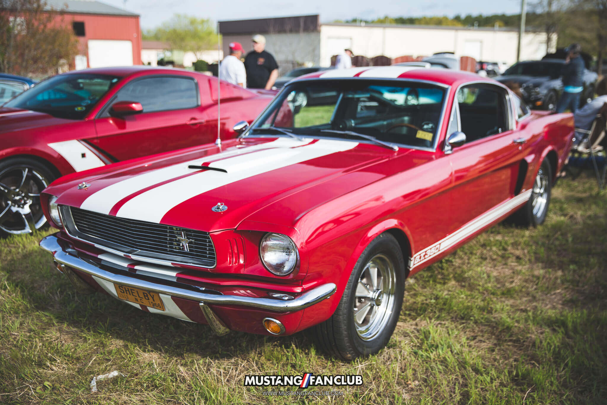 IMG_4426 national mustang day