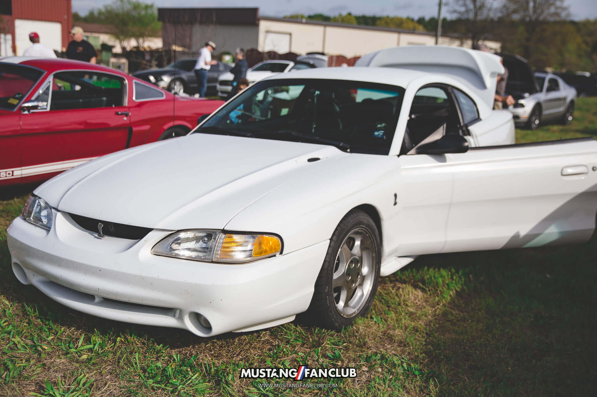 IMG_4427 sn95 cobra national mustang day