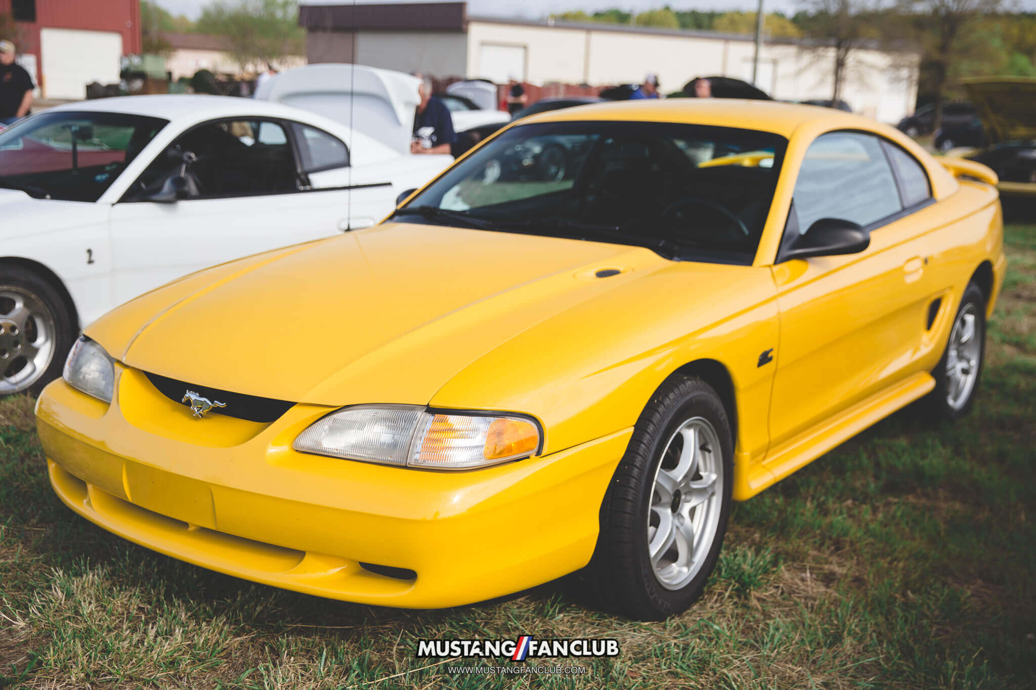 IMG_4428 sn95 mustang gt