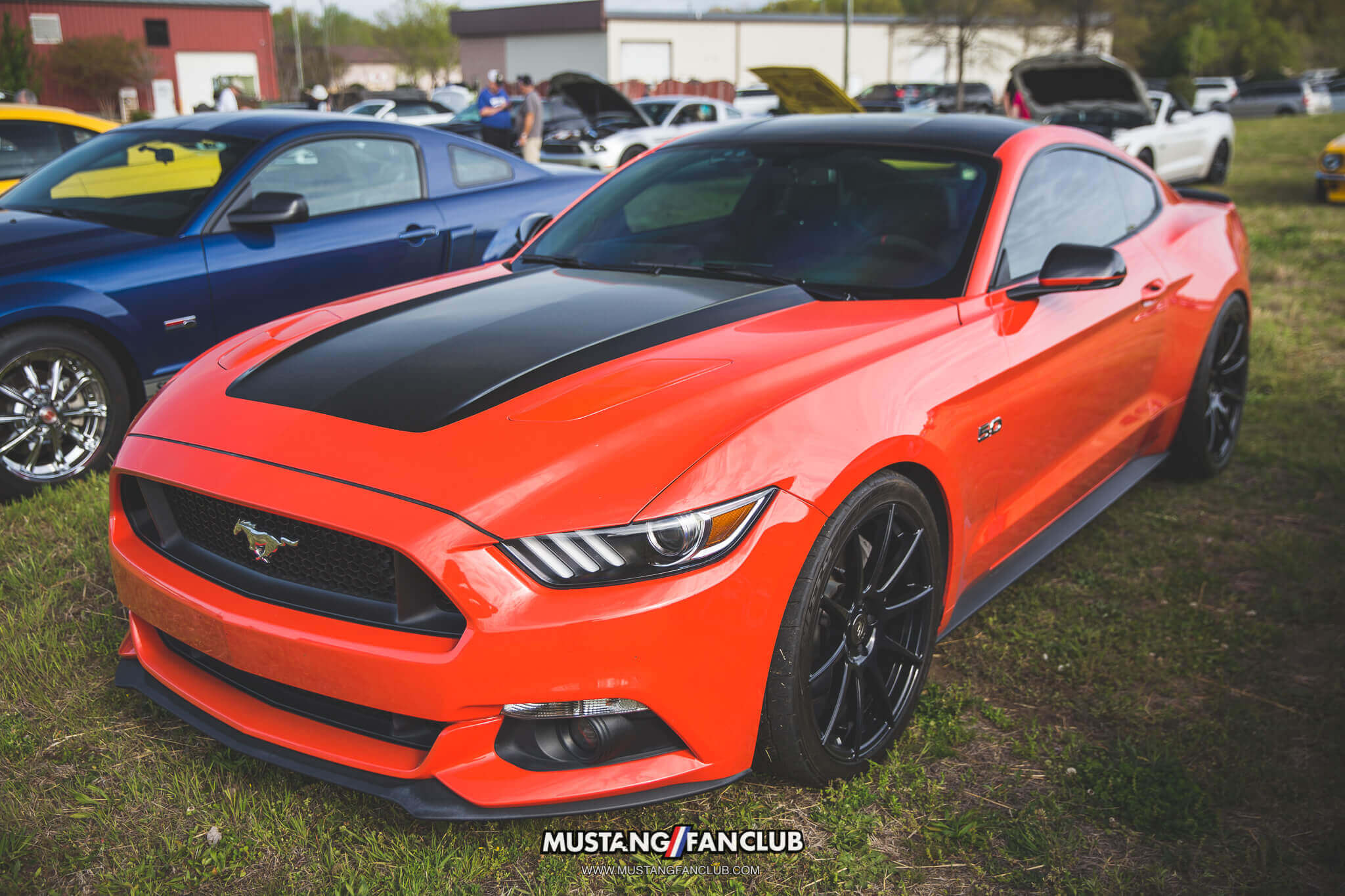 IMG_4430 competition orange mustang gt s550