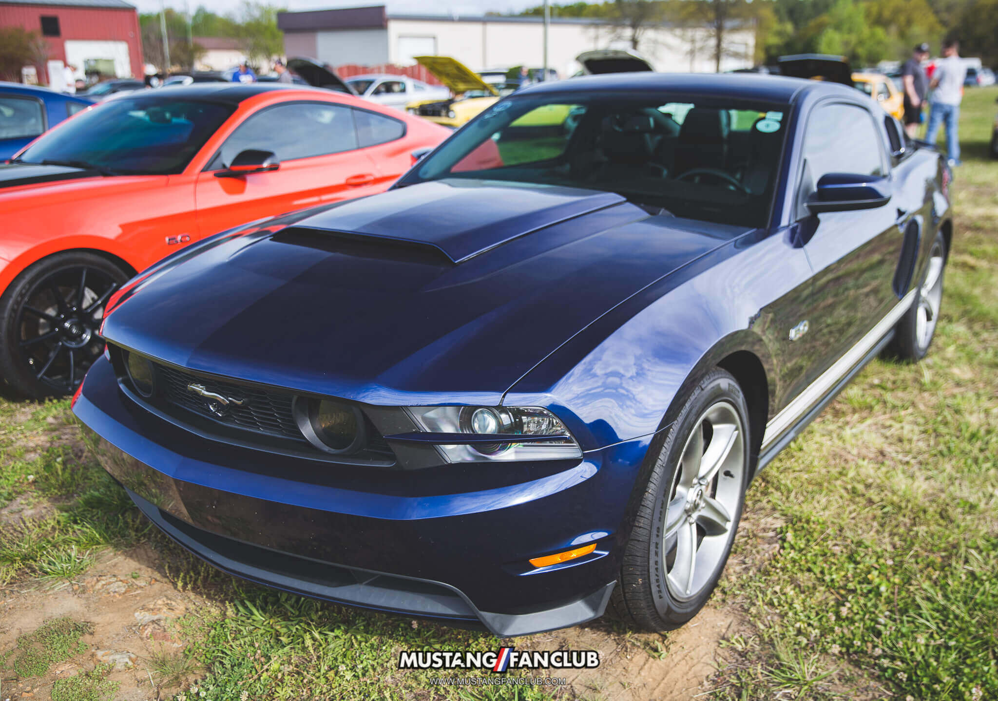 IMG_4431 national mustang day