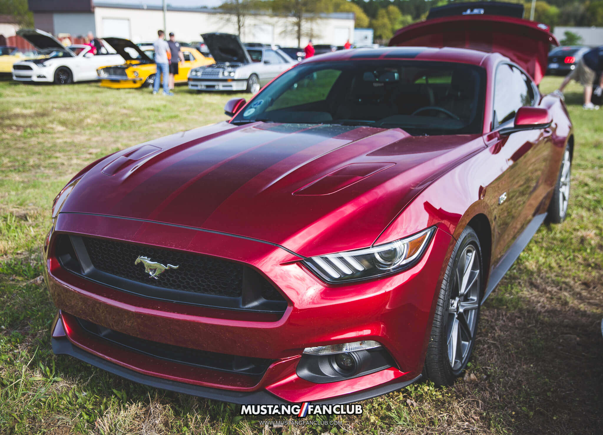 IMG_4432 s550 mustang gt national mustang day