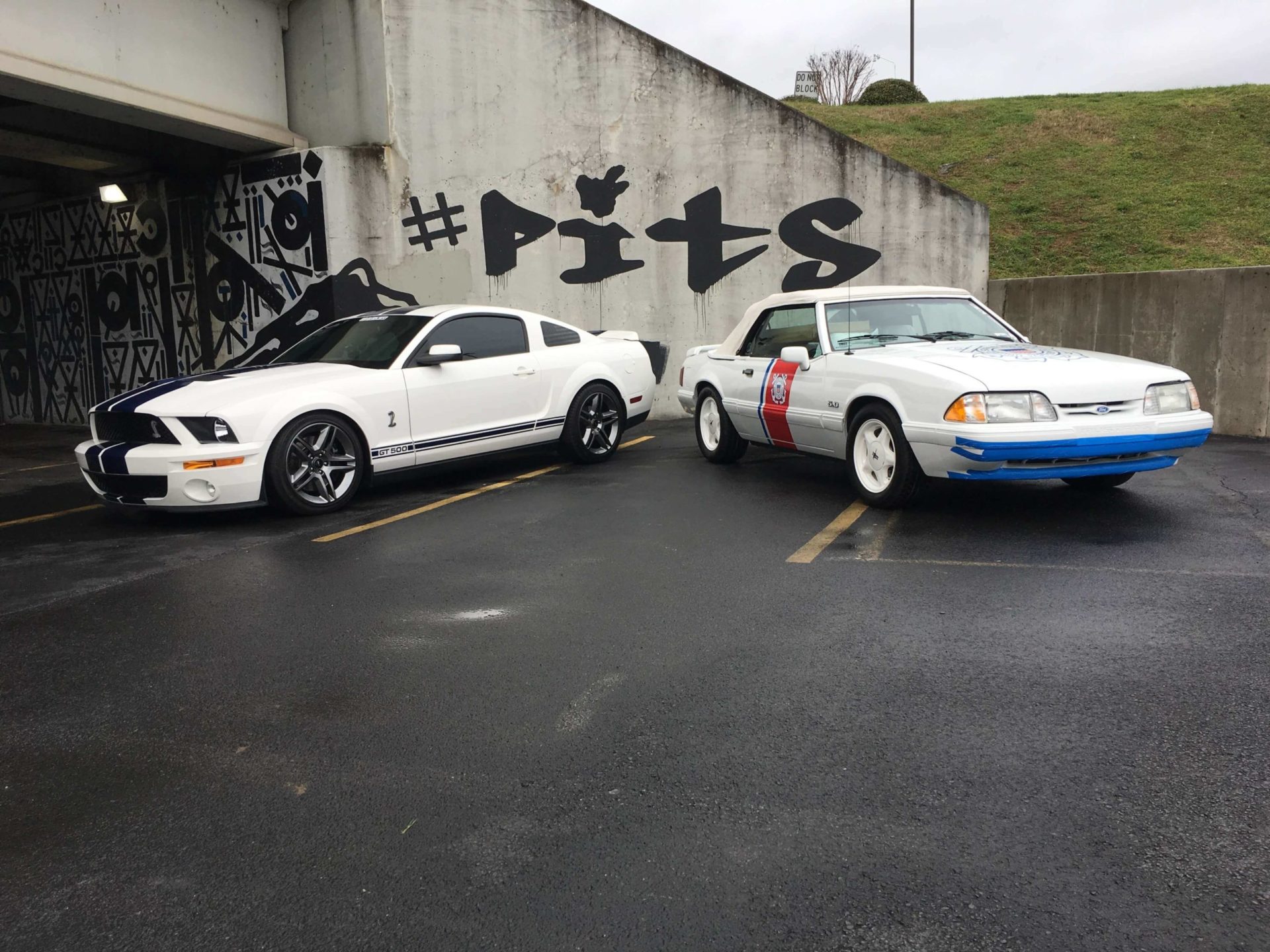 ponies in the smokies 2018