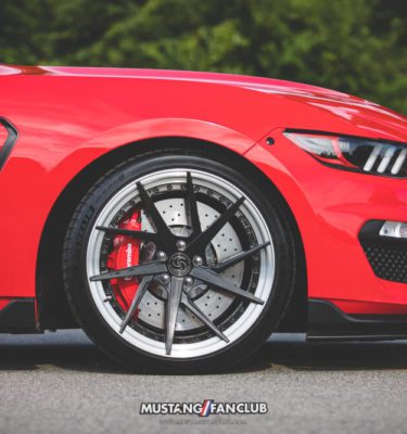 Signature Wheels GT350