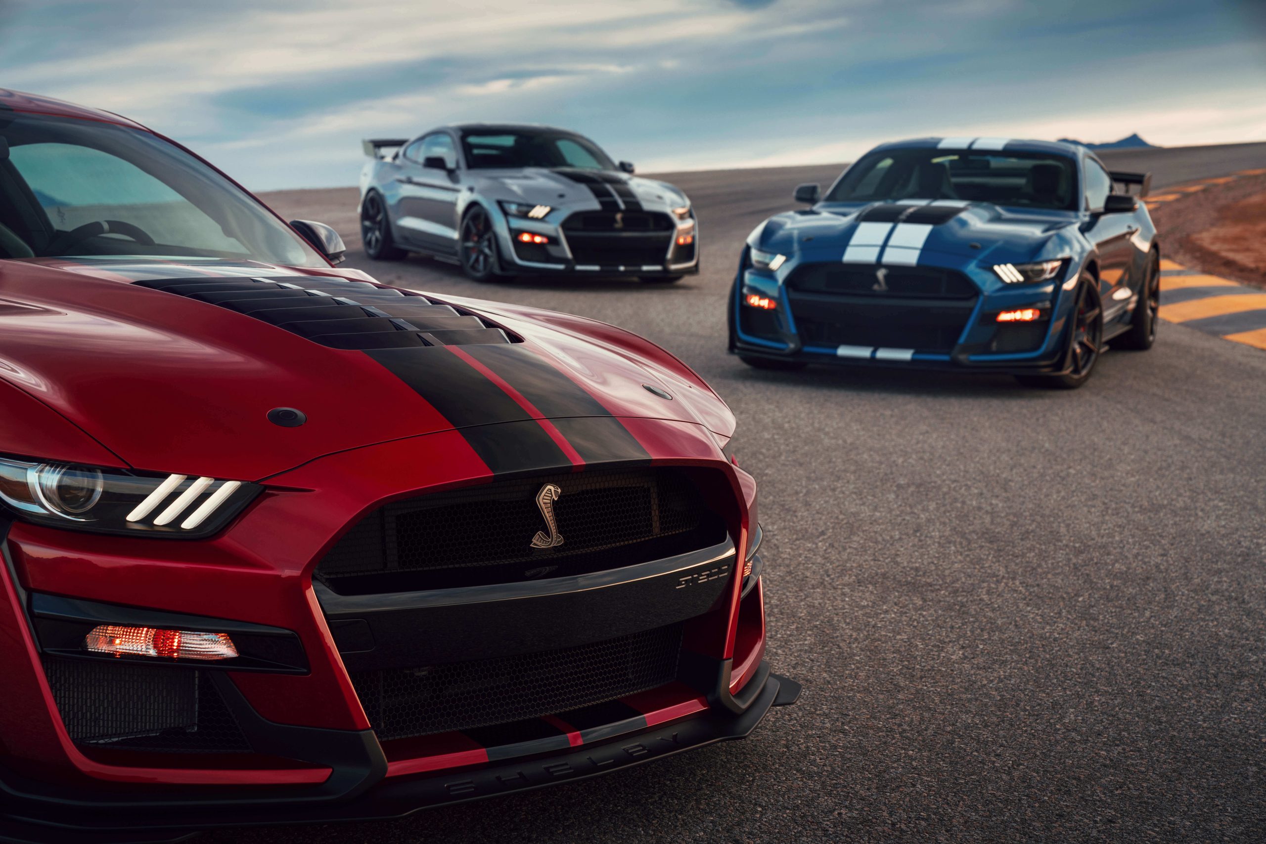 DSC03876_2 2020 shelby gt500