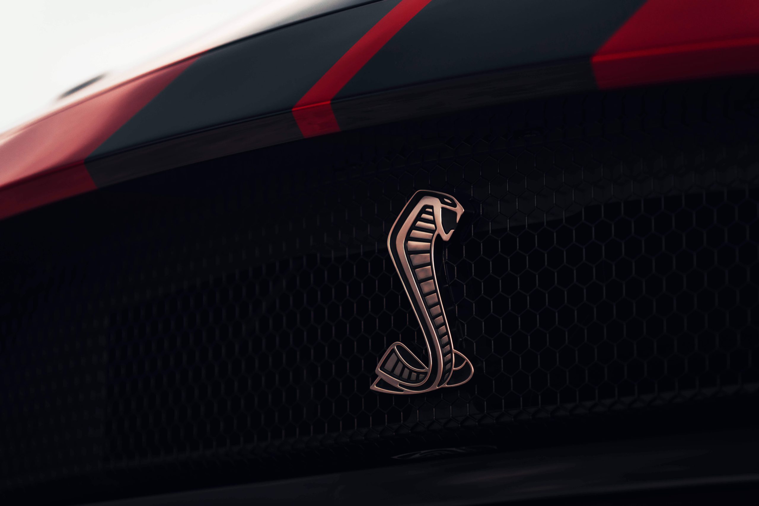 DSC09537_2 2020 shelby gt500 badge