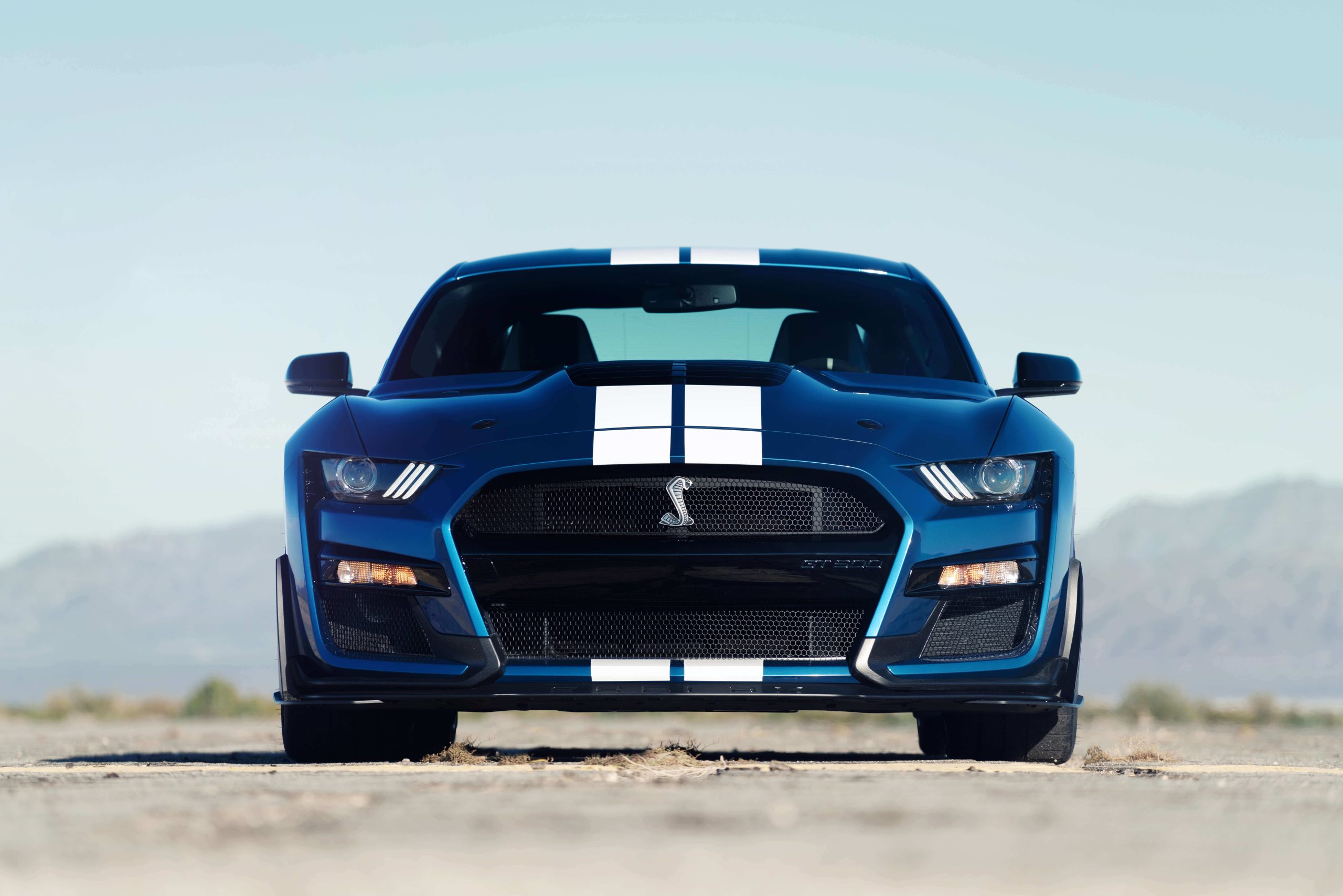 DSC09995_2 ford performance blue gt500