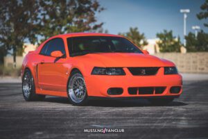 Competition Orange Cobra
