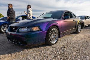 Mystichrome Cobra