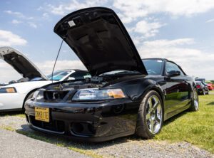 Black Cobra
