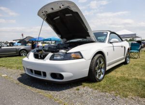 Oxford White Cobra