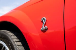 Torch Red Cobra