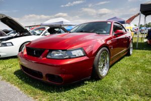 Redfire Metallic Cobra